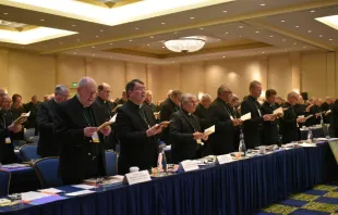 Members of the U.S. Conference of Catholic Bishops pray at their fall meeting in Baltimore, Maryland on Nov. 11, 2019 Christine Rousselle/CNA